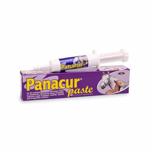 Panacur Horse Paste