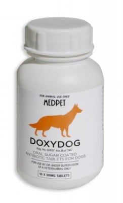 Medpet Doxydog doxycycline antibiotic