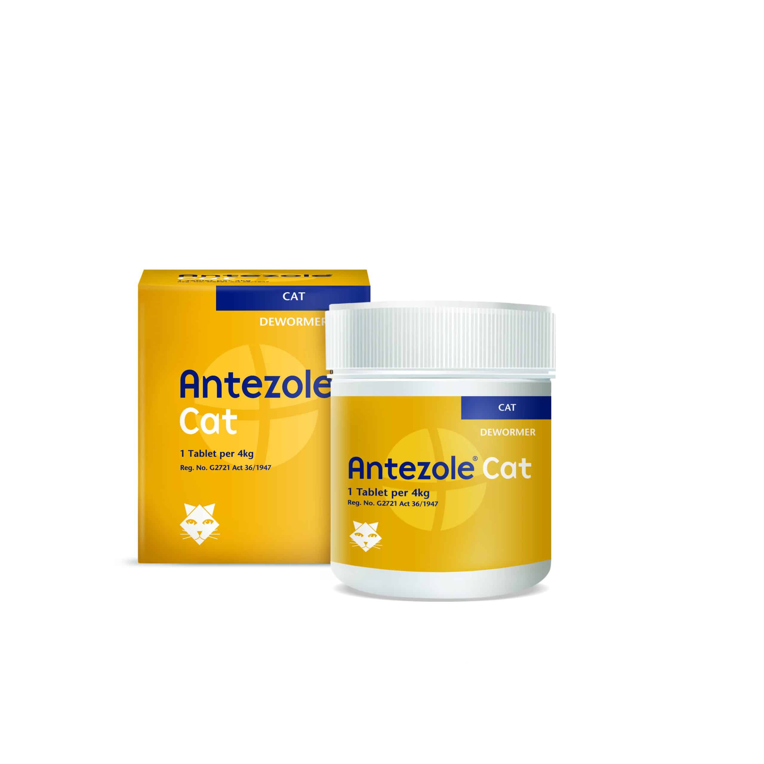 Antezole Cat