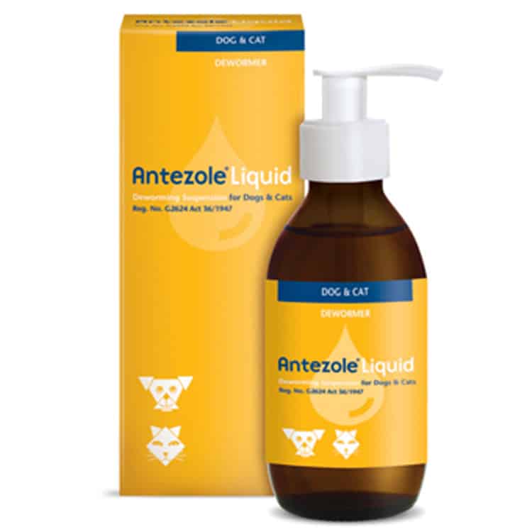 Antezole liquid