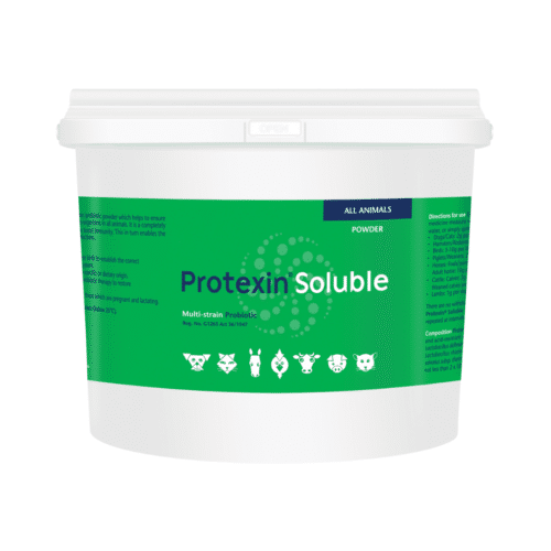 Protexin Soluble Probiotic (1kg)