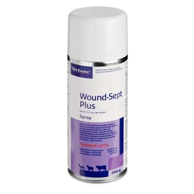 Wound Sept Plus